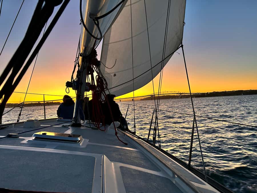 Auckland: Harbour Sailing Cruise with 3-Course Dinner - Meeting the yacht at Viaduct Harbour
