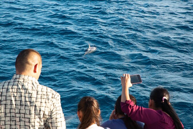 BIG Sunset Cruise - Dinner & Dolphin Watching in Guam - Key points to know before you book