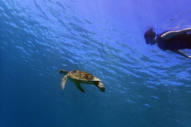 BIG Sunset Cruise - Dinner & Dolphin Watching in Guam - Cancellation, weather, and arrival rules