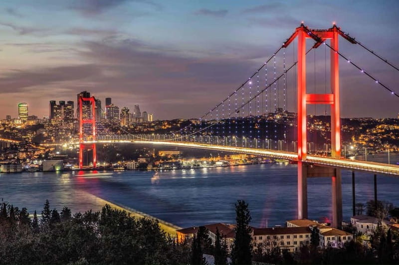Bosphorus Dinner Cruise & Turkish Night with Live Shows - Should you book the Bosphorus dinner cruise?