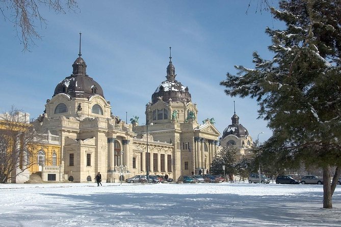 Budapest Széchenyi Spa with Danube Cruise and Optional Dinner - Food, music, and the evening mood