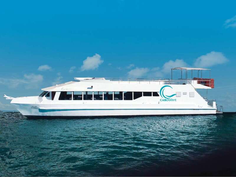 Cabo: Sunset Cruise with Dinner, Music & Open Bar - Starting at Dock 0 in Cabo San Lucas