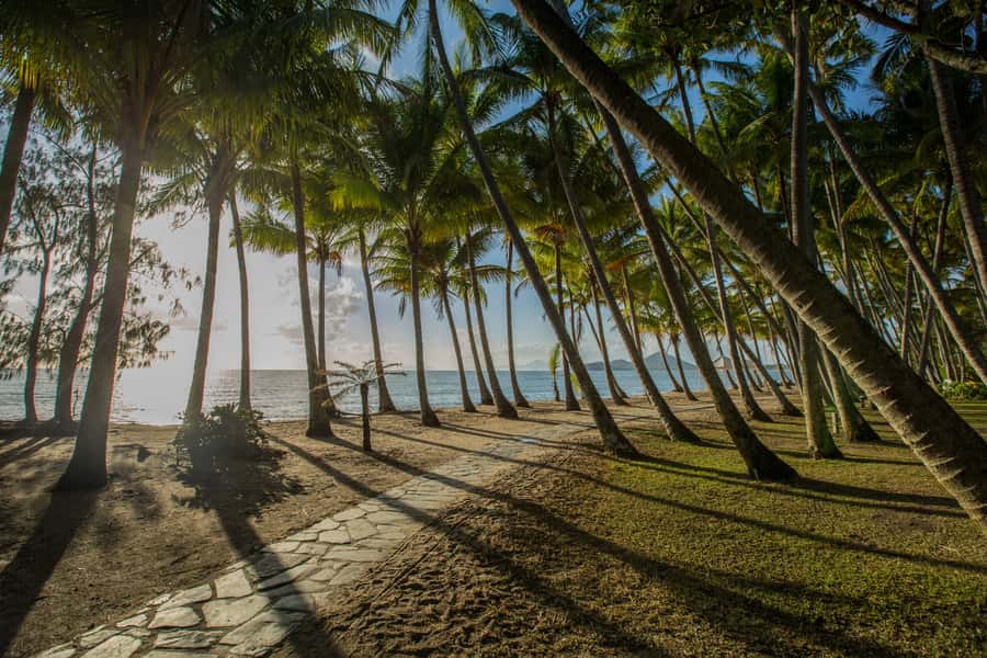 Cairns: City Sights Tour with Evening Dinner Cruise - Which travelers will like this most?