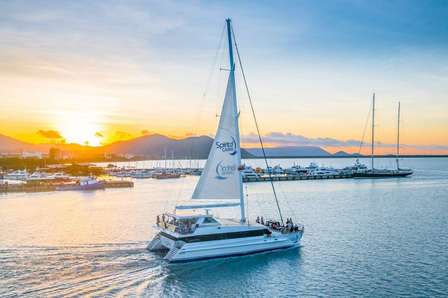 Cairns: City Sights Tour with Evening Dinner Cruise - Tropical plants at Cairns Botanic Gardens