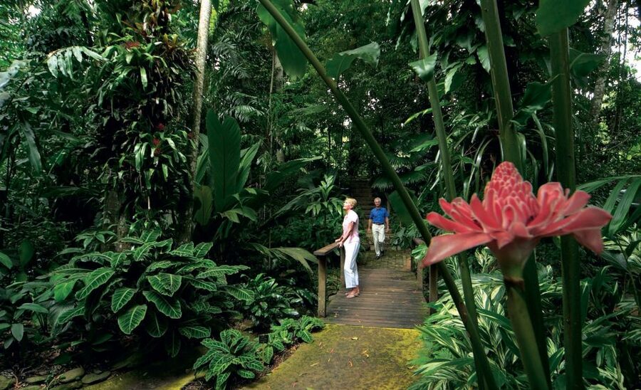 Cairns: City Sights Tour with Evening Dinner Cruise - Campbell’s Lookout and Barron Gorge