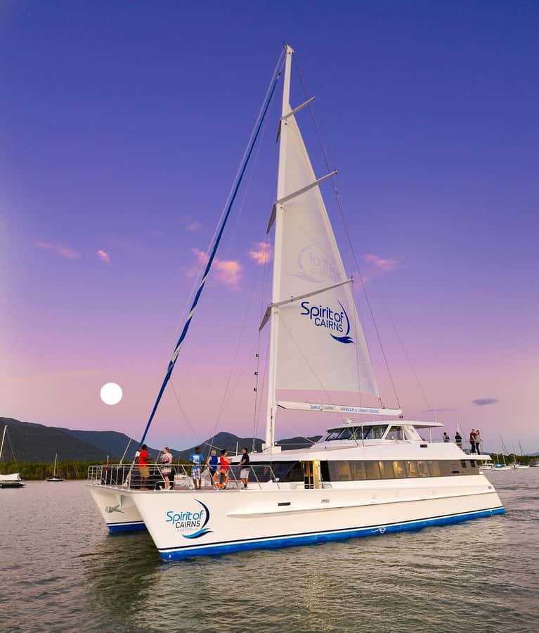 Cairns: Spirit of Cairns Dinner Cruise - Music, drinks, and the evening mood