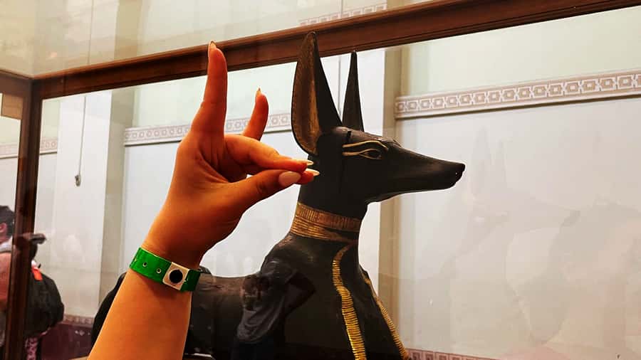 Cairo: Giza Pyramids, Egyptian Museum & Nile Dinner Cruise. - The Nile dinner cruise after dark