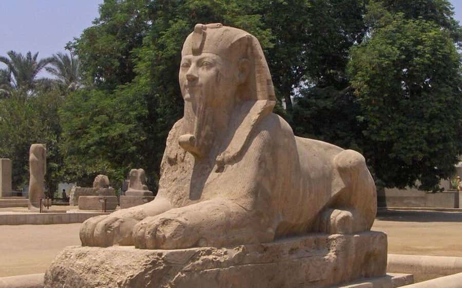 Cairo : Sakkara, Memphis ,Dahshur and Nile dinner cruise - Lunch, shopping, and the practical rhythm of the day