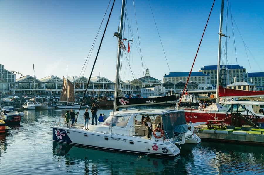 Cape Town: Sunset Champagne Cruise and 3-Course Dinner - The best views arrive when the sun drops