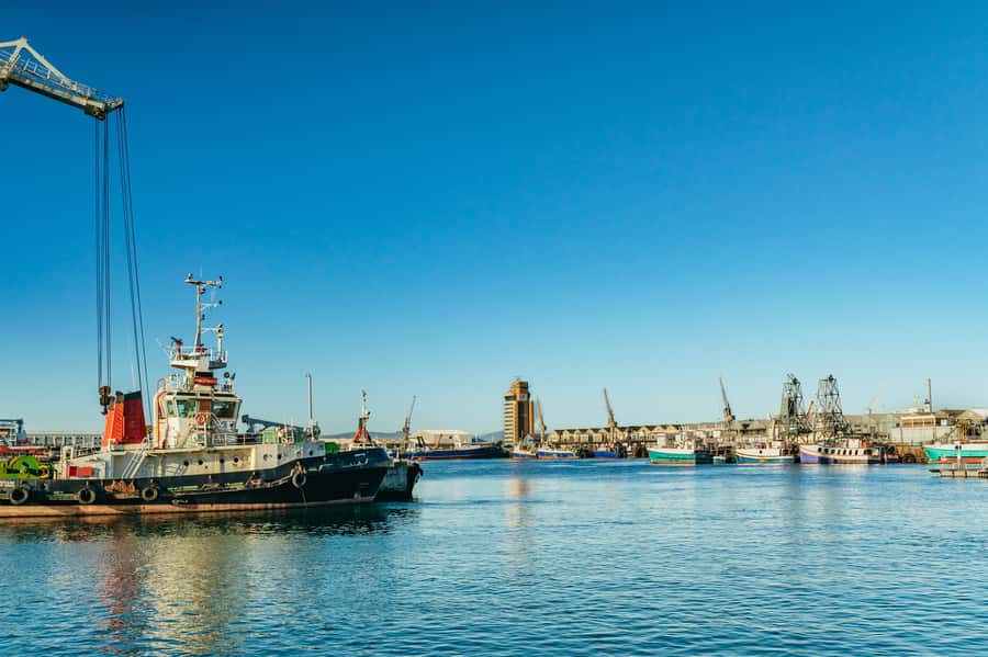 Cape Town: Sunset Champagne Cruise and 3-Course Dinner - Dinner ashore at City Grill or Raj