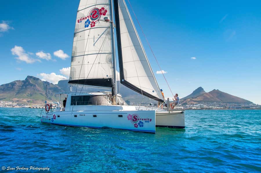Cape Town: Sunset Champagne Cruise and 3-Course Dinner - Who will enjoy this evening most?