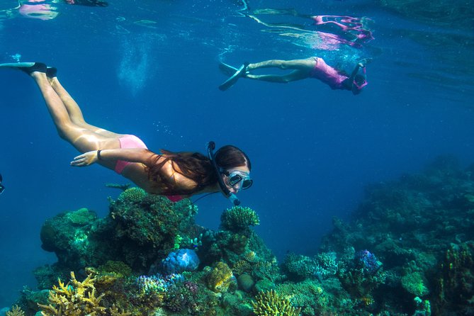 Capt Cook Cruises Super Saver Combo: Day Sail + Dinner Cruise - Two cruises, one useful Fiji package