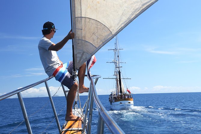 Capt Cook Cruises Super Saver Combo: Day Sail + Dinner Cruise - Crew service and the feel onboard