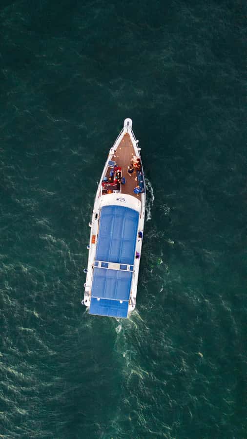 Cartagena: Cruise by the Bay with Dinner and Wine - Who should book this evening?