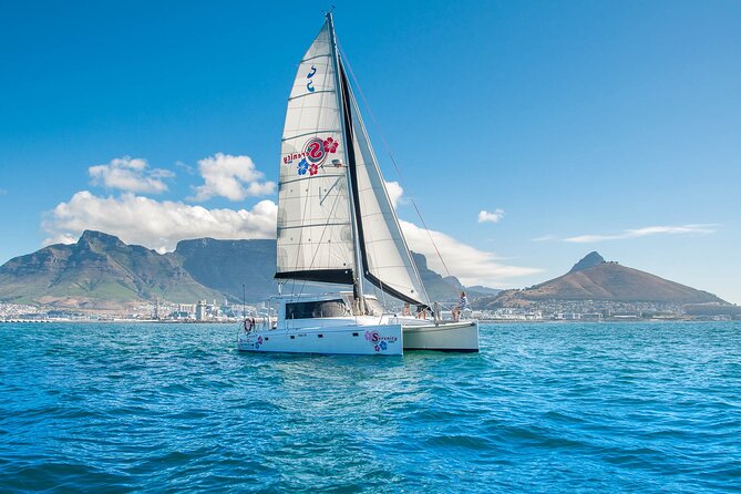 Cruise and Dine Dinner / Cape Town: Sunset Champagne Cruise and 3-Course Dinner - Two glasses of bubbly and a lively deck