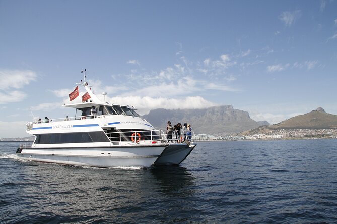 Cruise and Dine Dinner / Cape Town: Sunset Champagne Cruise and 3-Course Dinner - Practical advice for a smoother evening