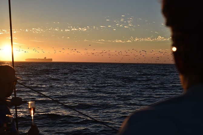 Cruise and Dine Dinner / Cape Town: Sunset Champagne Cruise and 3-Course Dinner - The vessel may change from one evening to the next