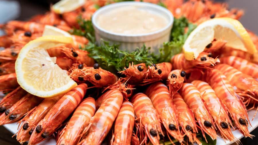 Darwin: Darwin Harbor Sunset Cruise with Buffet Dinner - Is $105 good value?