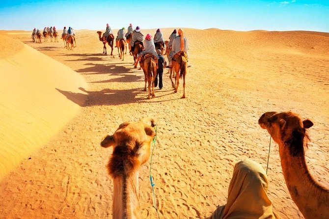 Desert Safari and Dhow Cruise Dinner Marina (Limited Offer) - Who should book this experience