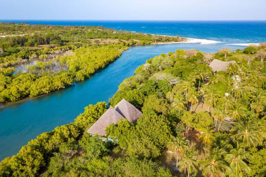 Diani Beach: Sunset Dhow Cruise with Dinner - Starting at Estuary Beach Restaurant and Bar