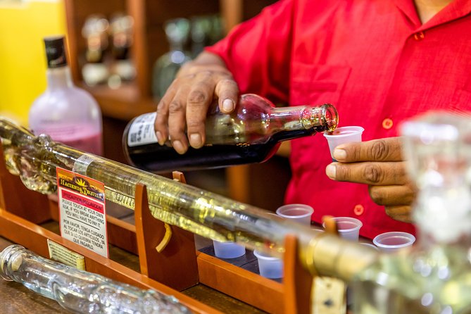 Dinner Cruise Tour in Cabo San Lucas with Tequila Tasting - Dinner, drinks, and the real personality of the catamaran