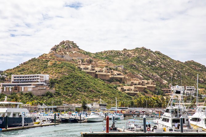 Dinner Cruise Tour in Cabo San Lucas with Tequila Tasting - Who should book this Cabo dinner cruise?