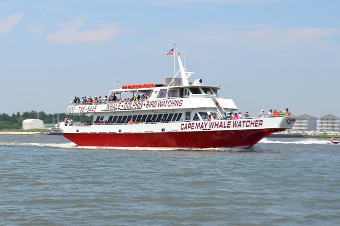 Dinner Cruise with Dolphin Watching from Cape May - What this Cape May cruise actually feels like