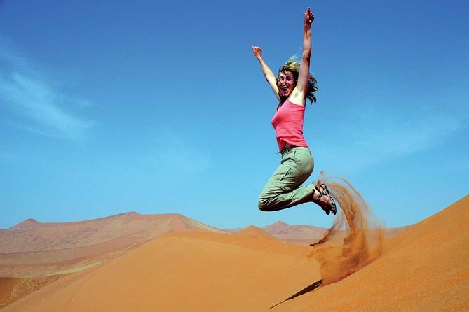 Dubai 4 Tours :Desert Safari,Dubai City Tour,Cruise Dinner & Abu Dhabi City Tour - Dubai city tour: fast views of the modern city