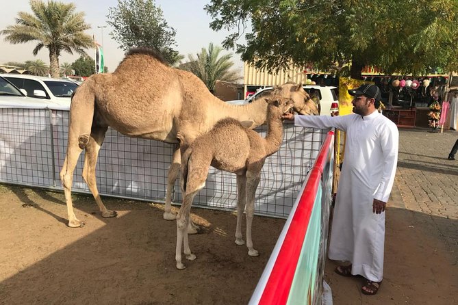 Dubai TRIO: City Tour- Desert Safari with BBQ- Dhow Cruise Dinner - Day one begins at Al Fahidi Fort