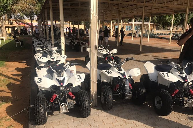 Dubai Trio: Desert Safari, ,Dubai City Tour & Dhow Cruise Dinner - Quad bikes, camels, and sand boards