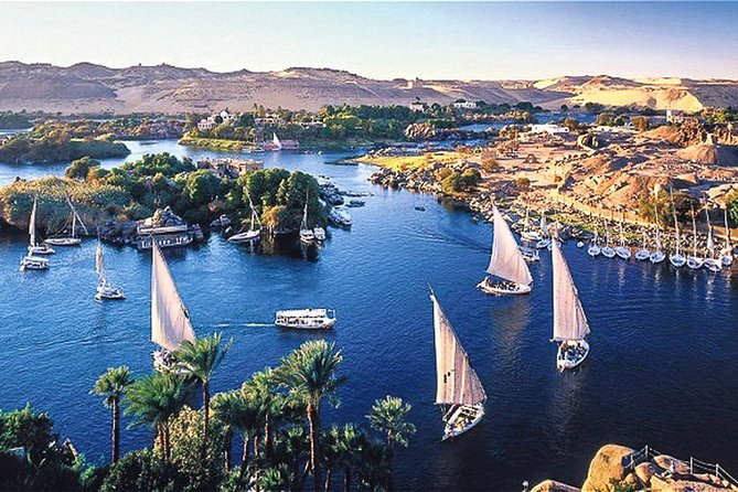 Felucca Ride on The Nile River and 4 Stars Dinner Cruise - Practical timing and service notes
