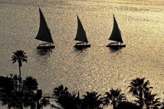 Felucca Ride on The Nile River and 4 Stars Dinner Cruise - The one-hour felucca ride