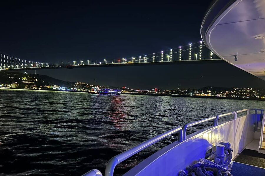 From Istanbul: Bosphorus Dinner Cruise Tavern & World Show - Who should book this evening?