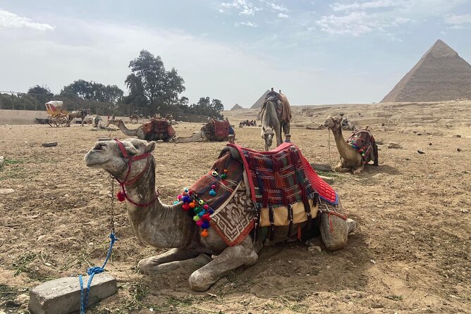 Giza Pyramids,Sphinx,Camel Ride,ATV Bike,Shopping, Dinner cruise - Lunch, upgrades, and the real value of $22.05