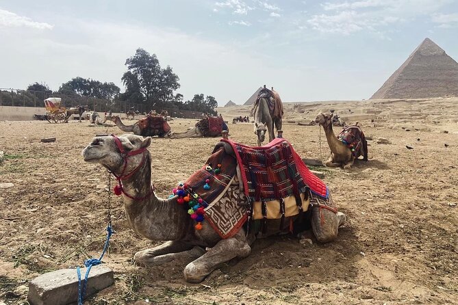 Giza Pyramids,Sphinx,Camel Ride,ATV Bike,Shopping, Dinner cruiseI - What the $35 price really means
