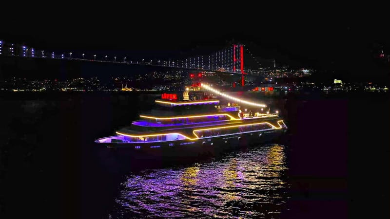 Istanbul: Bosphorus Dinner Cruise & Show with Private Table - What dinner includes at the standard level