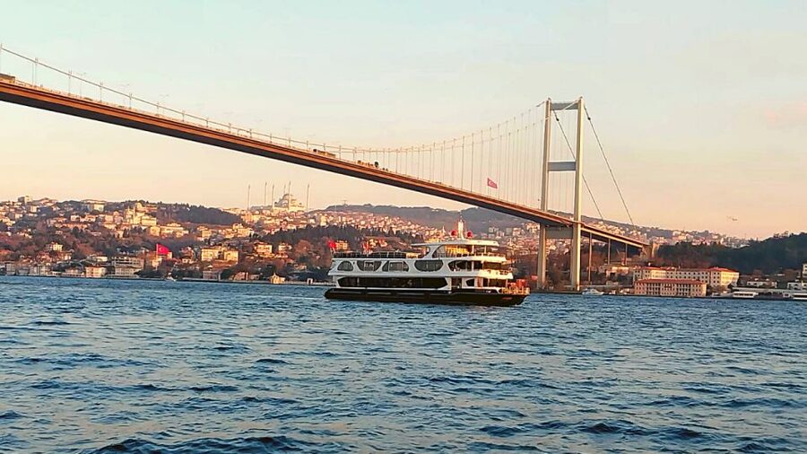 Istanbul: Bosphorus Dinner Cruise with Drinks & Turkish Show - What happens when dinner begins