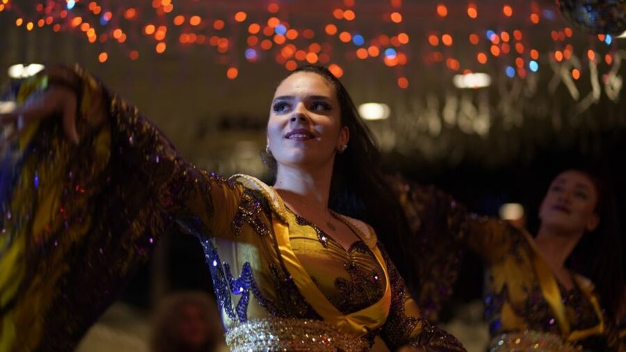 Istanbul: Bosphorus Dinner Cruise with Drinks & Turkish Show - Who will enjoy this cruise most?