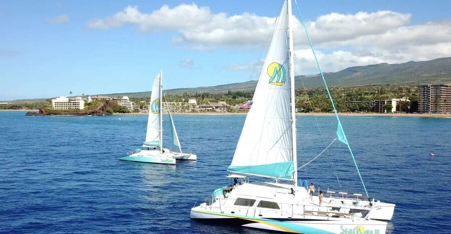 Kaanapali: Sunset Dinner Catamaran Cruise With Drinks - Dinner, cocktails, beer, and wine on board