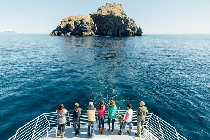 Kenai Fjords National Park Glacier Dinner Cruise from Seward - Boat size, crew service, and comfort