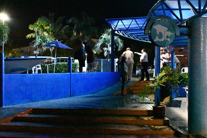 Live a Romantic Night Cruise Dinner at COLUMBUS (open bar included) - Choosing between steak, lobster, and vegetarian dinner