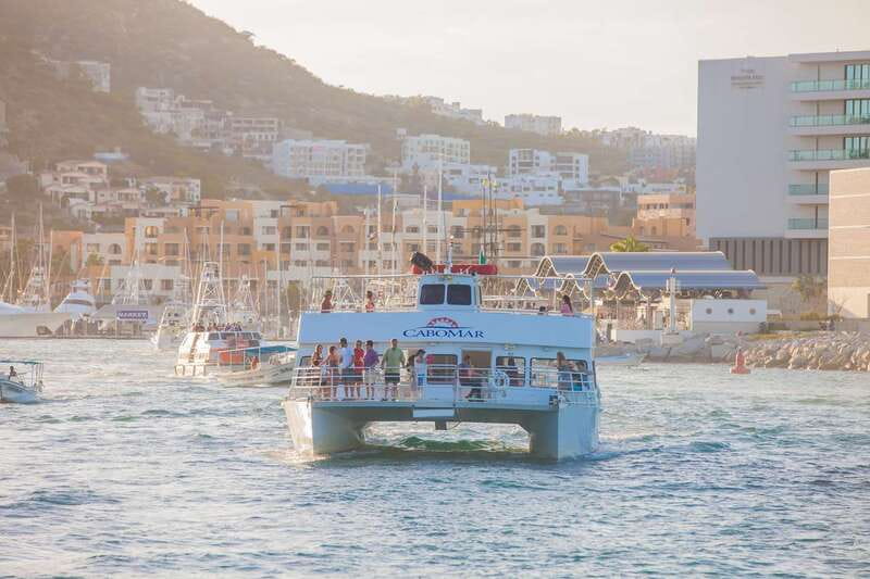 Los Cabos: Sunset Dinner Cruise with Transportation - Who should book this sunset cruise?