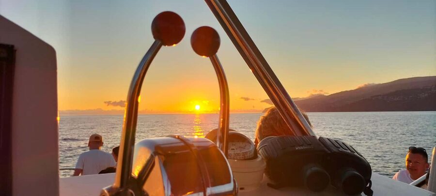 Madeira: Sunset Dinner Cruise - Swimming and snorkeling at Calhau da Lapa