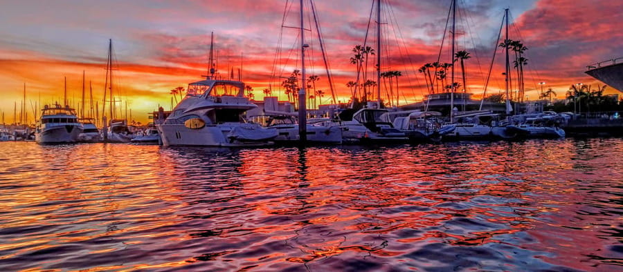Marina Del Rey: Romantic Cruise, Dinner Charcuterie or Sushi - Wildlife spotting near the docks