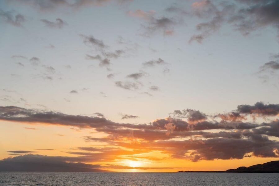 Maui: Luxury Catamaran Royal Sunset 5-Course Dinner Cruise - Five courses built around local ingredients