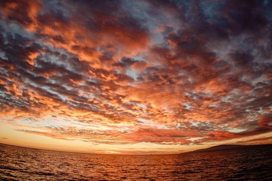 Maui: Luxury Catamaran Royal Sunset 5-Course Dinner Cruise - Matching each course with an open bar