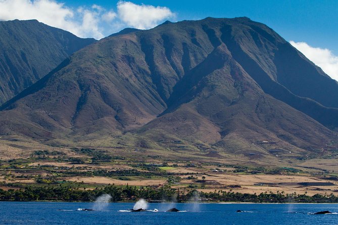 Maui Premium Sunset Dinner Cruise & Whale Watch - Leaving Maalaea Harbor for the open Pacific