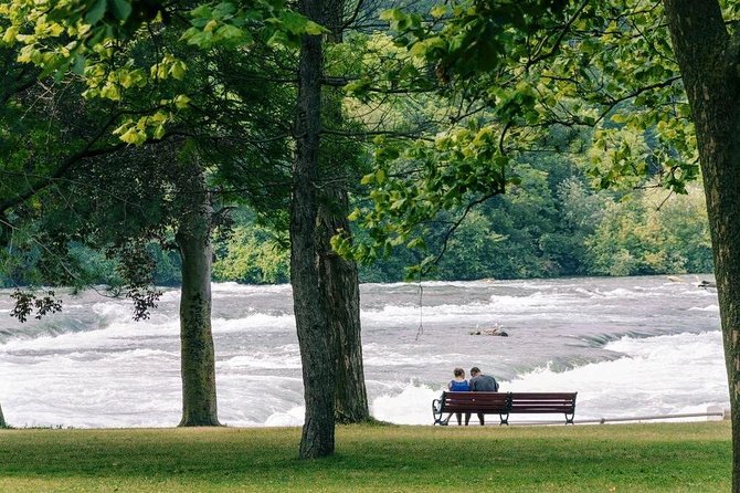 Niagara Falls Day and Evening Tour With Boat Cruise & Dinner (optional) - What this Toronto to Niagara tour is really like