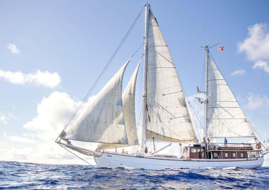 Oslo: Oslofjord Fjord-Style Dinner Cruise - Should you book the Oslofjord dinner cruise?