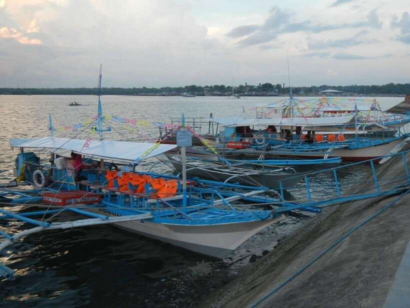Puerto Princesa: Firefly Watching Bay Cruise with Dinner - What the $34 price buys you